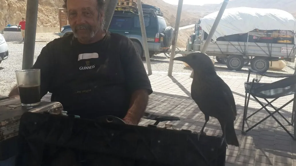 יואב ליד שולחן במחנה, עם עורב לידו