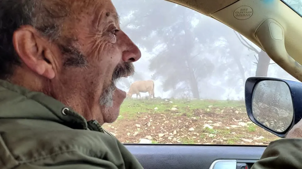 יואב עוזיאל מאחורי ההגה, צוחק, ובחלון פרה בשדה מכוסה ערפל